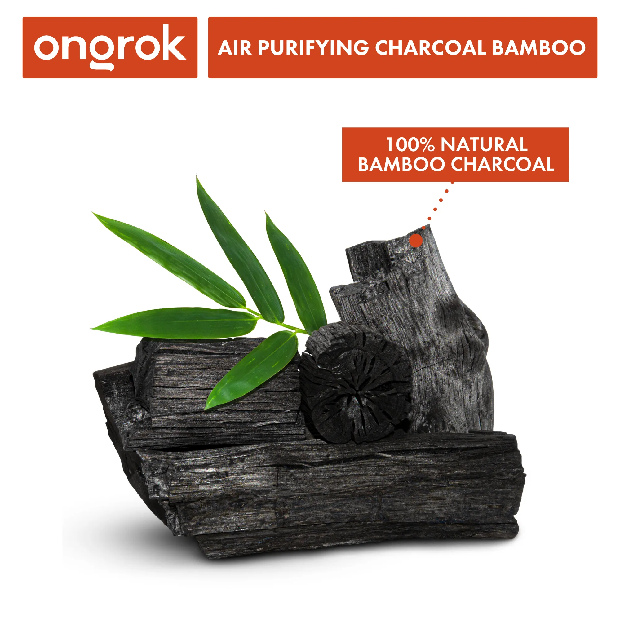 Air Purifying Charcoal Bamboo Bags | 2 Sizes